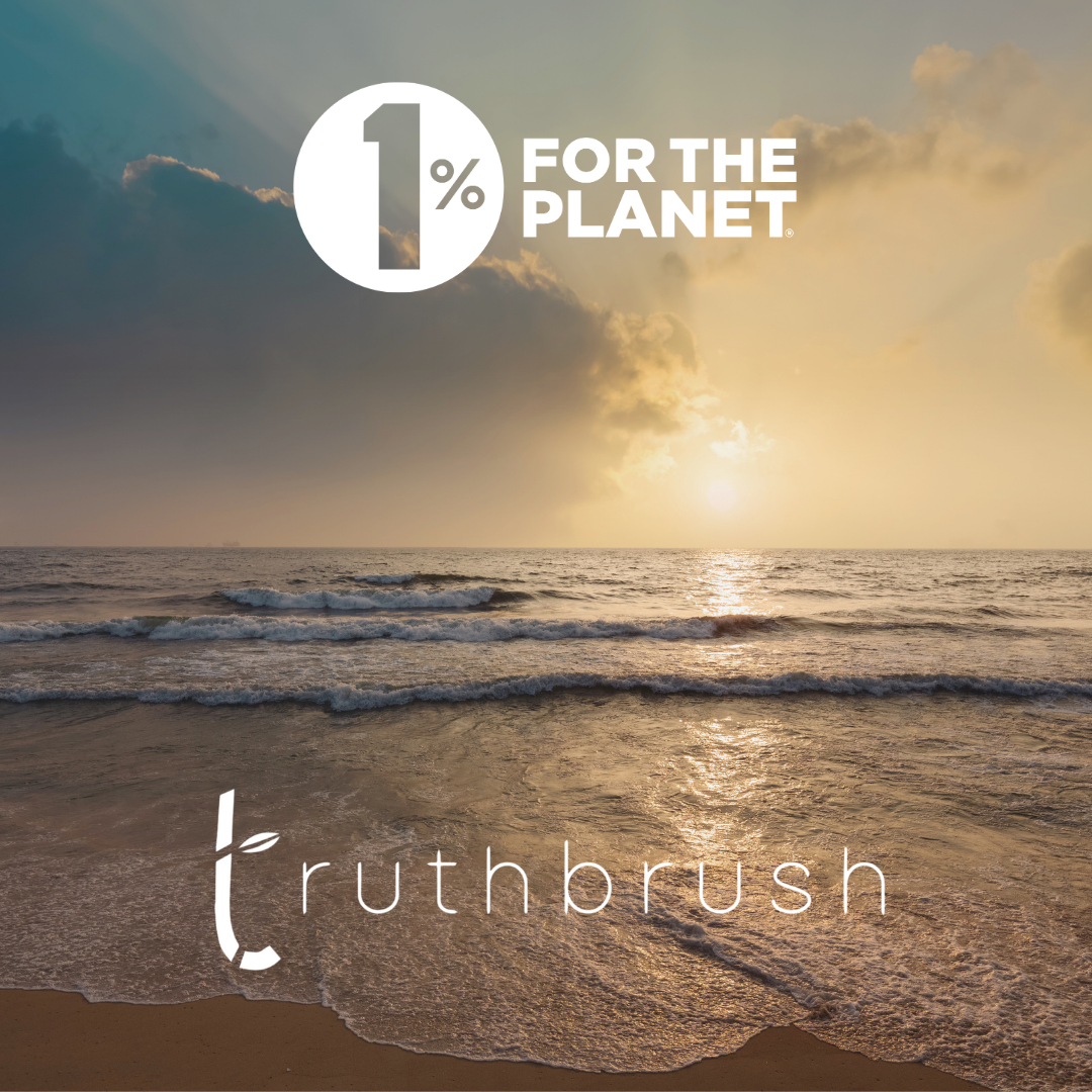 The world's FIRST solid bamboo electric toothbrush head!
