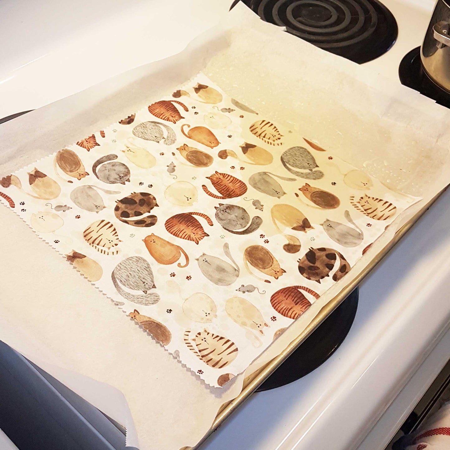 Diy Beeswax Food Wrap Kit- Eco-friendly