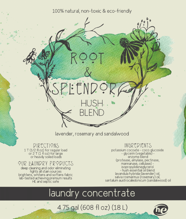 Laundry Soap Concentrate Free and Clear - Price Per Ounce