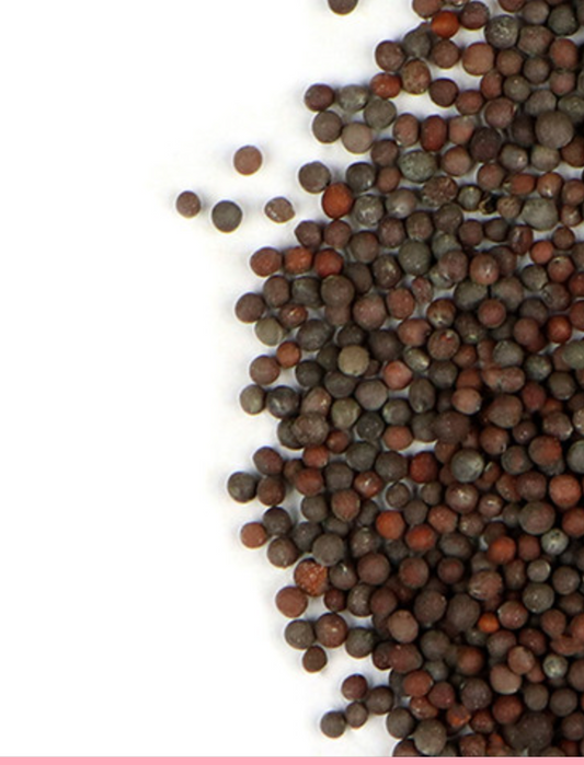 Mustard Seed - Brown - Priced Per Ounce